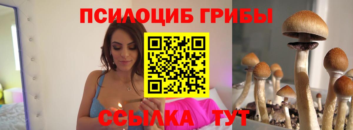 наркотики  Вход с VPN  Калининград  Псилоцибиновые грибы GOLDEN TEACHER 
